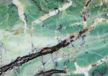 Polished Green-White Opal Slab - Western Australia #65402-2